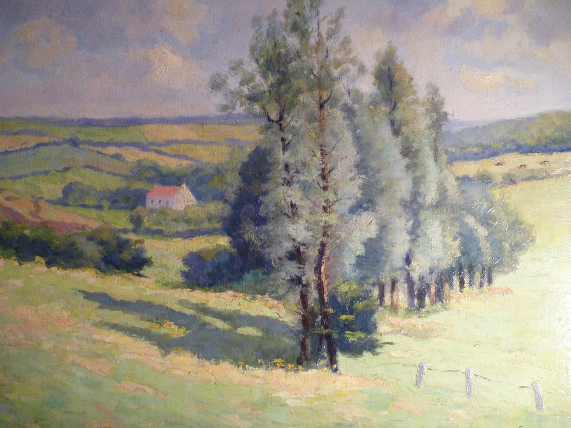 D hont michel coryn 014