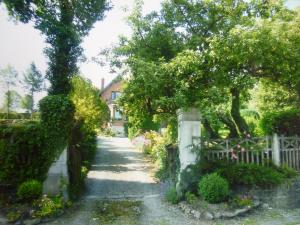 Ronzon 004