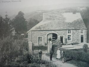 Ronzon 005