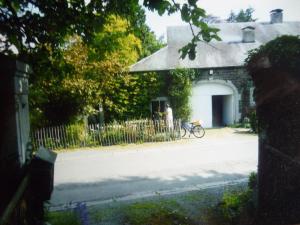 Ronzon 006